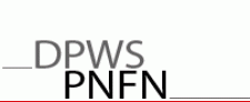 DPWS